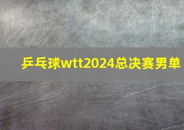 乒乓球wtt2024总决赛男单