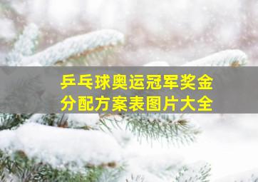 乒乓球奥运冠军奖金分配方案表图片大全