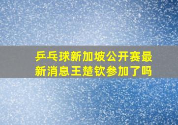 乒乓球新加坡公开赛最新消息王楚钦参加了吗