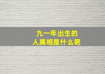 九一年出生的人属相是什么呢