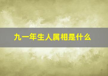 九一年生人属相是什么