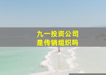 九一投资公司是传销组织吗