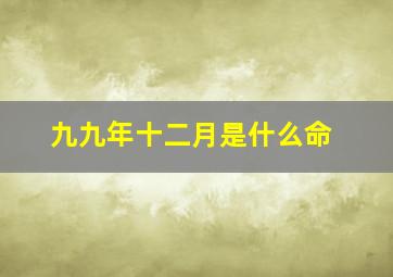 九九年十二月是什么命