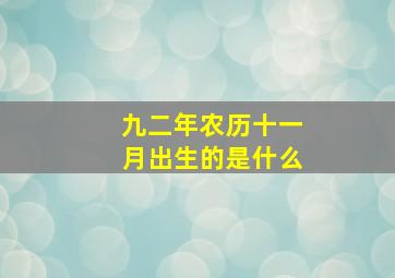 九二年农历十一月出生的是什么