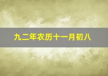 九二年农历十一月初八