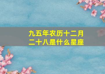 九五年农历十二月二十八是什么星座