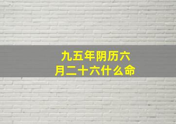 九五年阴历六月二十六什么命