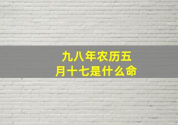 九八年农历五月十七是什么命