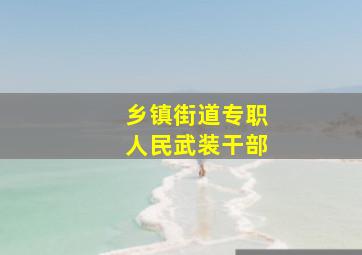 乡镇街道专职人民武装干部