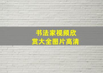 书法家视频欣赏大全图片高清