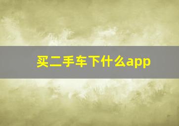 买二手车下什么app