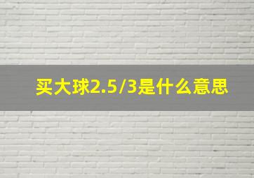 买大球2.5/3是什么意思