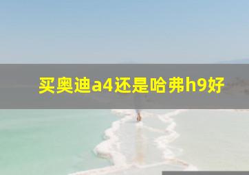 买奥迪a4还是哈弗h9好