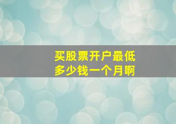 买股票开户最低多少钱一个月啊