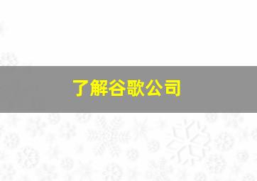 了解谷歌公司