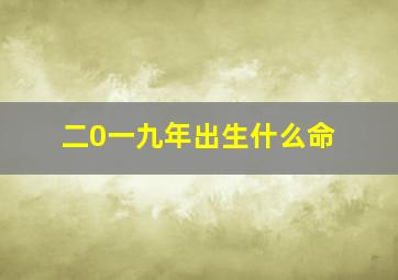 二0一九年出生什么命