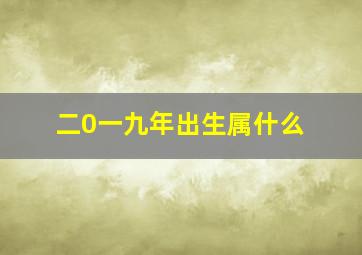 二0一九年出生属什么