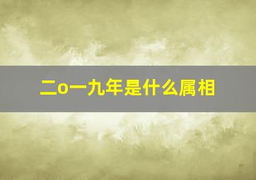 二o一九年是什么属相