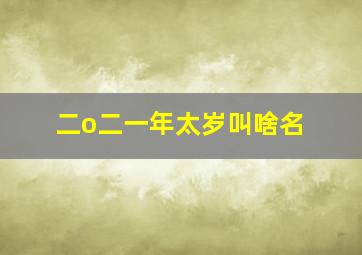 二o二一年太岁叫啥名