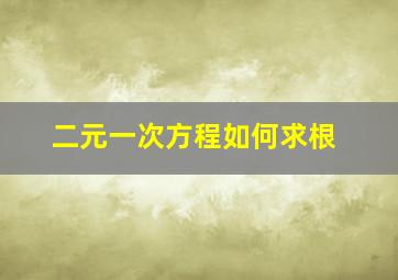 二元一次方程如何求根