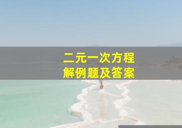 二元一次方程解例题及答案