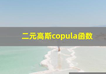 二元高斯copula函数