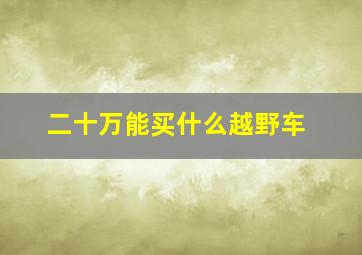 二十万能买什么越野车