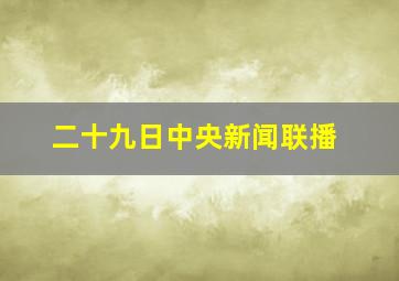 二十九日中央新闻联播