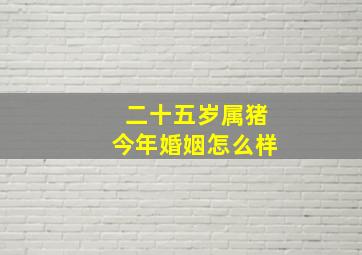 二十五岁属猪今年婚姻怎么样