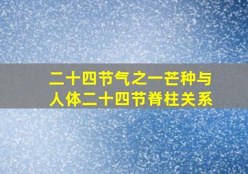 二十四节气之一芒种与人体二十四节脊柱关系