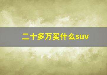 二十多万买什么suv