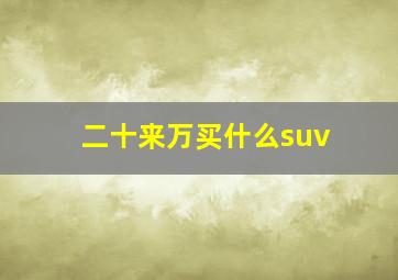 二十来万买什么suv