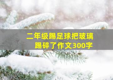 二年级踢足球把玻璃踢碎了作文300字