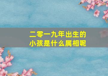 二零一九年出生的小孩是什么属相呢