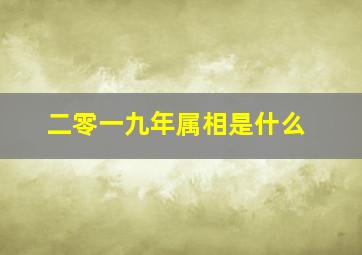 二零一九年属相是什么