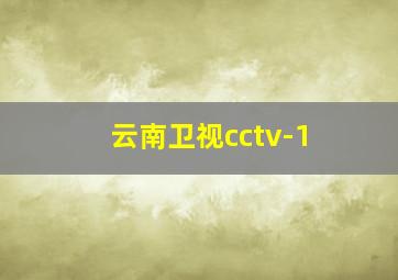 云南卫视cctv-1