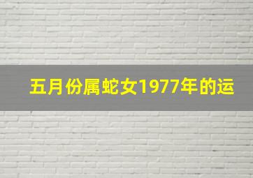 五月份属蛇女1977年的运