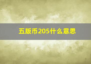 五版币205什么意思