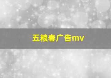 五粮春广告mv