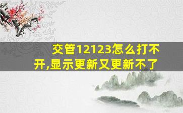 交管12123怎么打不开,显示更新又更新不了