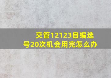 交管12123自编选号20次机会用完怎么办