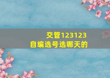 交管123123自编选号选哪天的