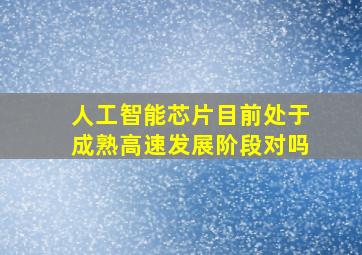 人工智能芯片目前处于成熟高速发展阶段对吗