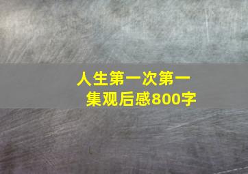 人生第一次第一集观后感800字