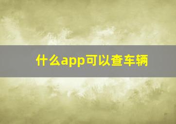 什么app可以查车辆