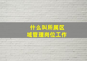 什么叫所属区域管理岗位工作