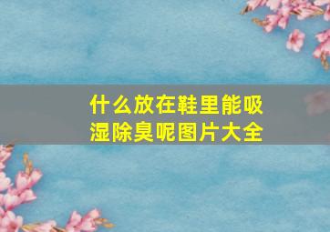 什么放在鞋里能吸湿除臭呢图片大全