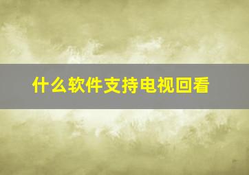 什么软件支持电视回看