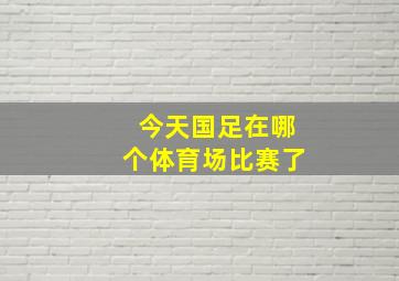 今天国足在哪个体育场比赛了