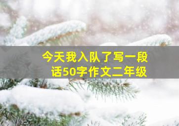 今天我入队了写一段话50字作文二年级